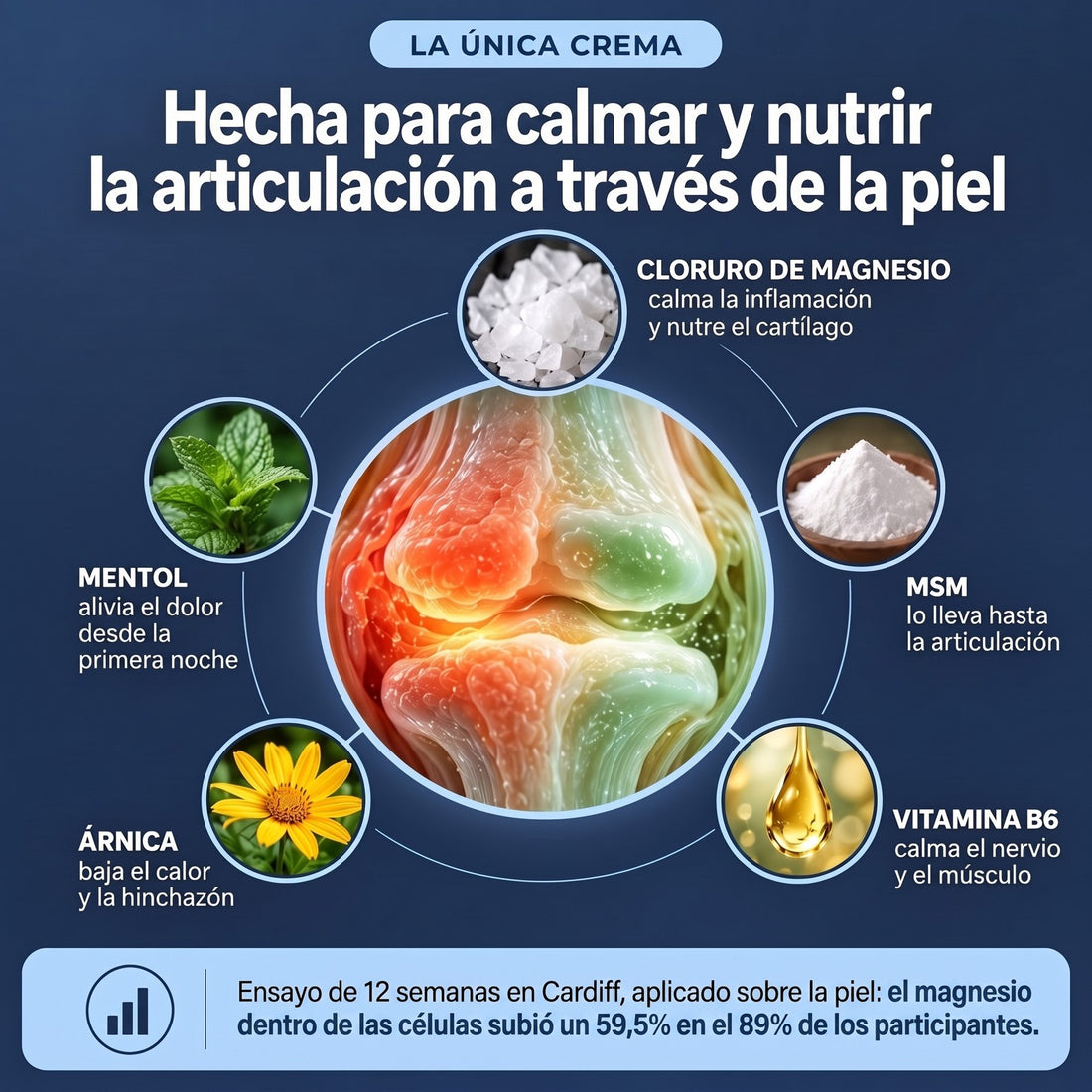 Hecha para calmar y nutrir la articulación a través de la piel: magnesio, MSM, árnica, B6 y mentol