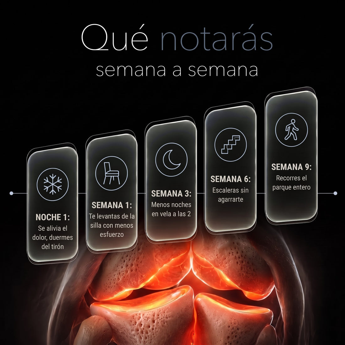 Qué notarás semana a semana con Alivio Total